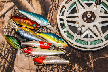 Similar image 11043764