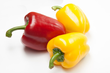 Similar image 11046459