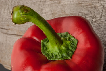 Similar image 11046499