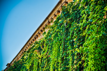 Similar image 11046520