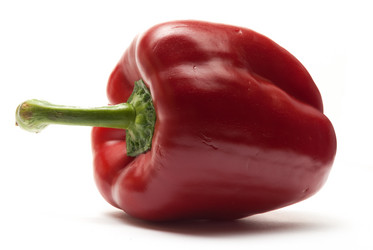 Similar image 11046521