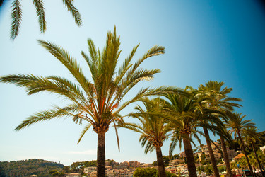 Similar image 11046582