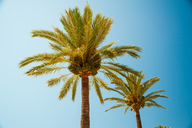 Similar image 11046657