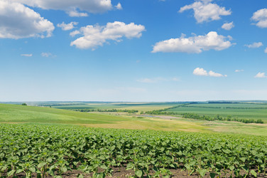 Similar image 11043963