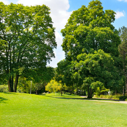 Similar image 11043964