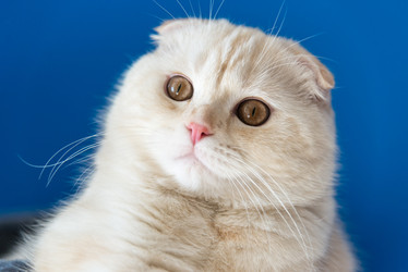 Similar image 11044334