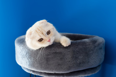 Similar image 11044336