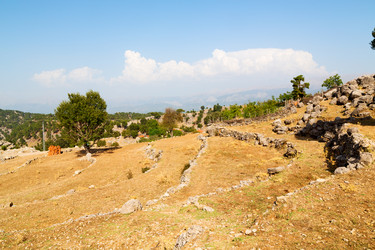 Similar image 11282497