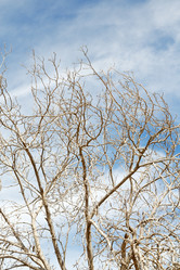 Similar image 11282487