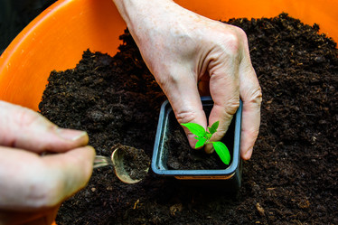 Similar image 11043743