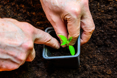 Similar image 11043744