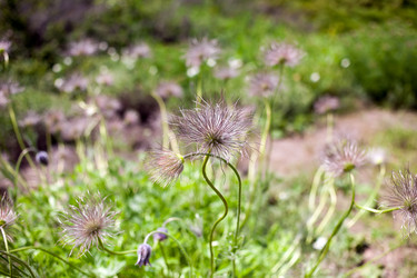 Similar image 11281374