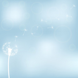 Similar image 11277839