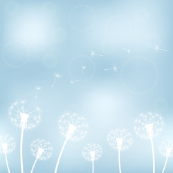 Similar image 11277840