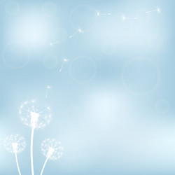 Similar image 11277841