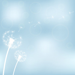 Similar image 11277843