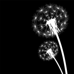 Similar image 11277977