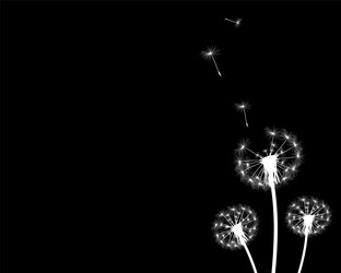 Similar image 11277978