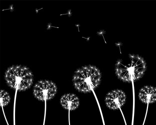 Similar image 11277979