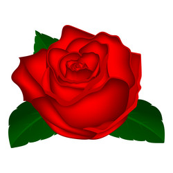 Similar image 11277981