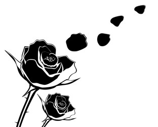 Similar image 11277983