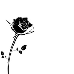 Similar image 11277988