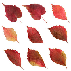 Similar image 11044402