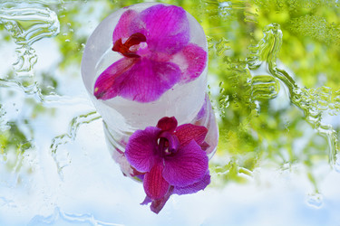 Similar image 11044060