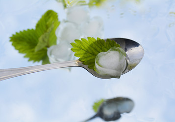 Similar image 11044061