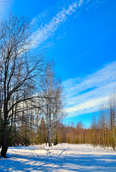 Similar image 11043847