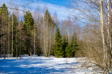 Similar image 11043848