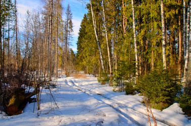 Similar image 11043850