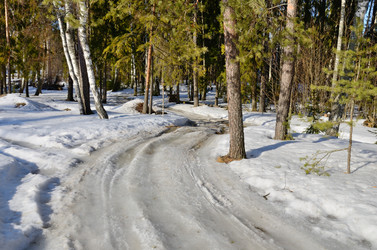 Similar image 11043852