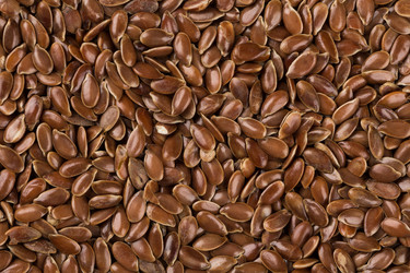 Similar image 11065032