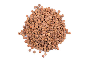 Similar image 11065901