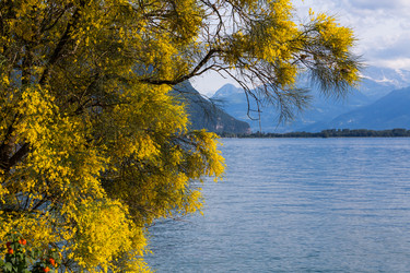 Similar image 11065946