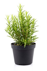 Similar image 11066864