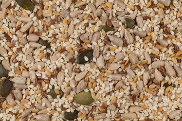 Similar image 11067166