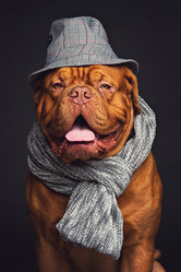 Similar image 11284452