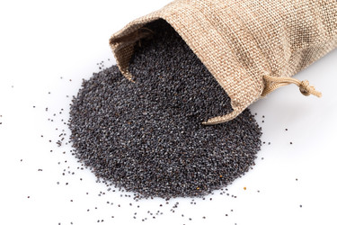 Similar image 11067232