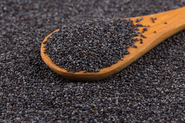 Similar image 11067234