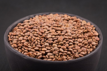 Similar image 11064720