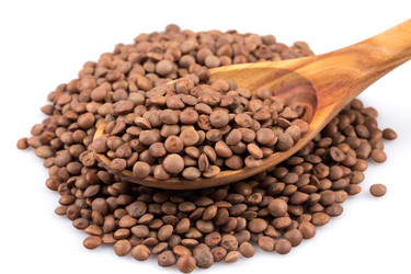 Similar image 11064725