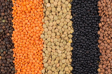 Similar image 11064817