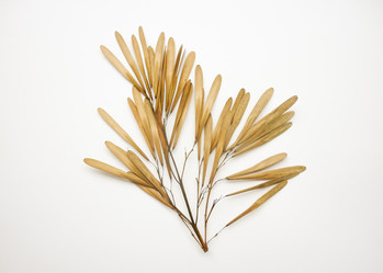 Similar image 11044735