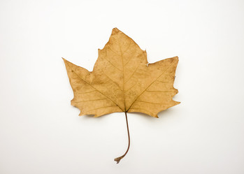 Similar image 11044736