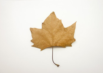 Similar image 11044737