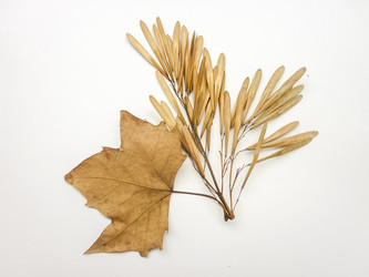 Similar image 11044738