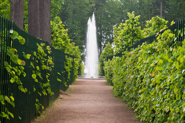 Similar image 11044472