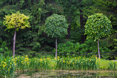 Similar image 11044498